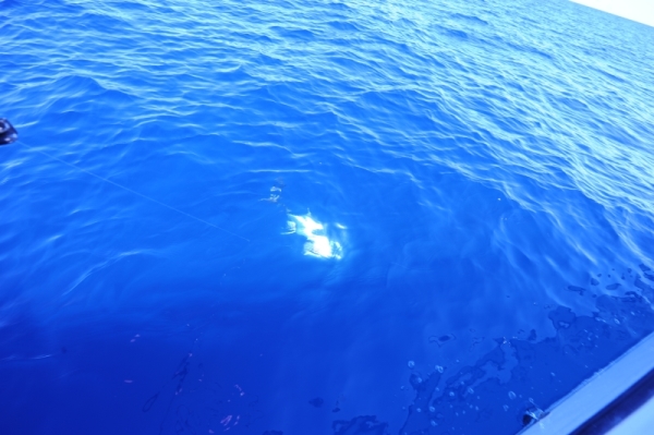 Image du diaporama