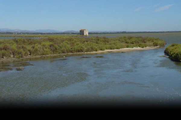 Image du diaporama
